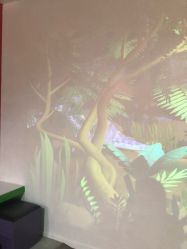 点击看大图 -恐龙探索乐园(磁器口店)