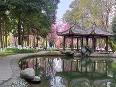 -温江公园