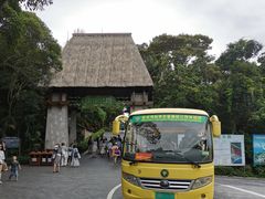 -亚龙湾热带天堂森林公园