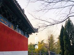 -洛阳白马寺