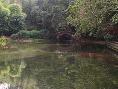 -望江楼公园