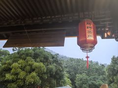 -阿巧茶庄