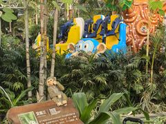 -南宫五洲植物乐园