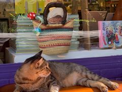 -恋物百货商店(华侨城店)