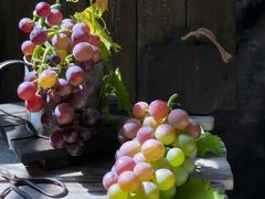 -1886德国汽车餐厅(外滩中央店)