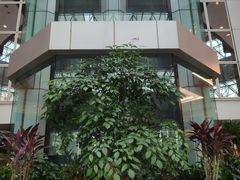 -上海新锦江大酒店