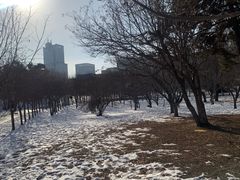 -华莱士·全鸡汉堡(皓月店)