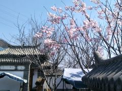 -慢丽江·云南野生菌土鸡锅(西山店)