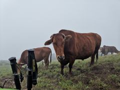 -终南山国家森林公园