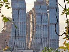 -南山植物园
