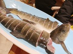 雅鱼-七椒渔府·特色雅鱼餐厅(雨城店)