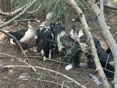 -坛南湾阿强农家乐.海鲜大排档老字号(福州地标美食店)