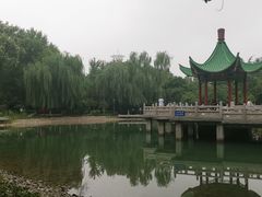 -马茹特色饺子馆