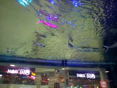 -老班长手工灌汤包老店(东山店)
