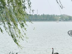 -上海月湖雕塑公园