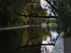 -上海共青森林公园