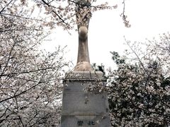 -武汉大学-樱园