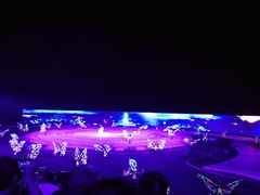 -鼎盛王朝康熙大典实景演出