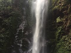 -莫里热带雨林景区