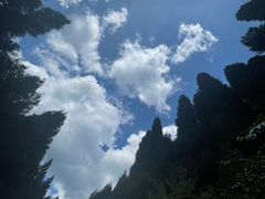 -武陵山森林公园