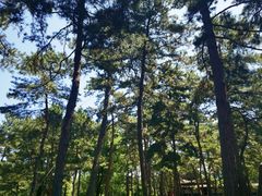 -承德避暑山庄景区