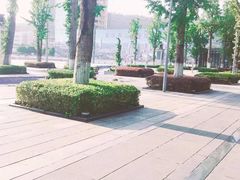 -百林公园-两江幸福广场