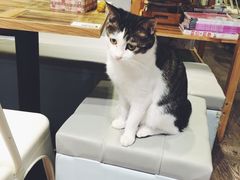 -小时光咖啡馆(开森度假森林店)