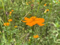 -桤木河湿地公园