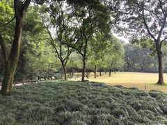 -九曜山