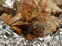 -千岛蚝高压锅生蚝·人参火锅(白云万达店)