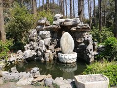 -上海醉白池公园