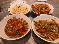 鸭掌筋-壹盏灯(惠农店)