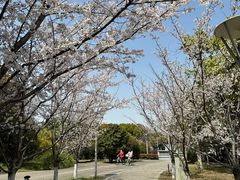 -山姆会员商店(邻瑞广场店)