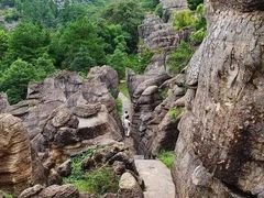 -梦幻奥陶纪景区