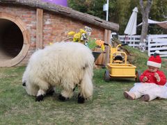 -HERRE·FARM 赫尔露营农场·团建聚会包场