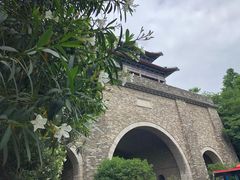 -鸡鸣赐茶(鸡鸣寺路店)