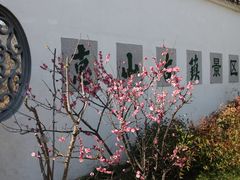 -惠山古镇·寄畅园