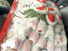 -菜园坝水果市场