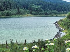 -武陵山森林公园