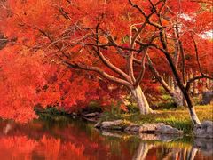 -康熙养生SPA·轻奢足道(江宁万达店)