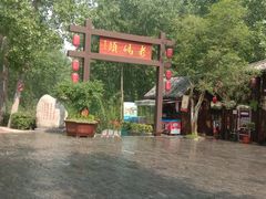 -合肥滨湖国家森林公园