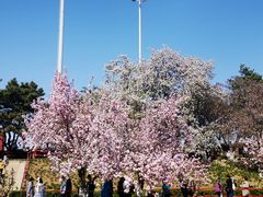 -海棠花溪(元大都城垣遗址公园)
