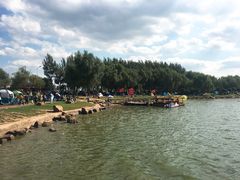 -丁香湖公园