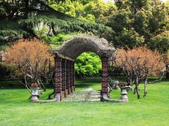 瑞金宾馆-上海瑞金洲际酒店