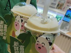 -一只酸奶牛(春熙路店)