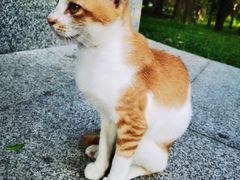 -荔香公园