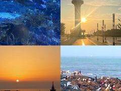 -巧克力渔家.小船海鲜胶东菜(万平口店)