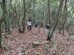 -梧桐山风景名胜区