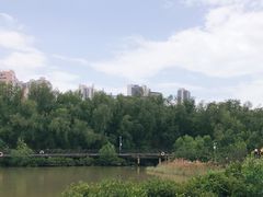 -大亚湾红树林城市湿地公园
