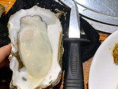 阳江炊蚝-大富蚝乌东哥饭店·石锅鱼杂·柠檬鸭(革新路店)